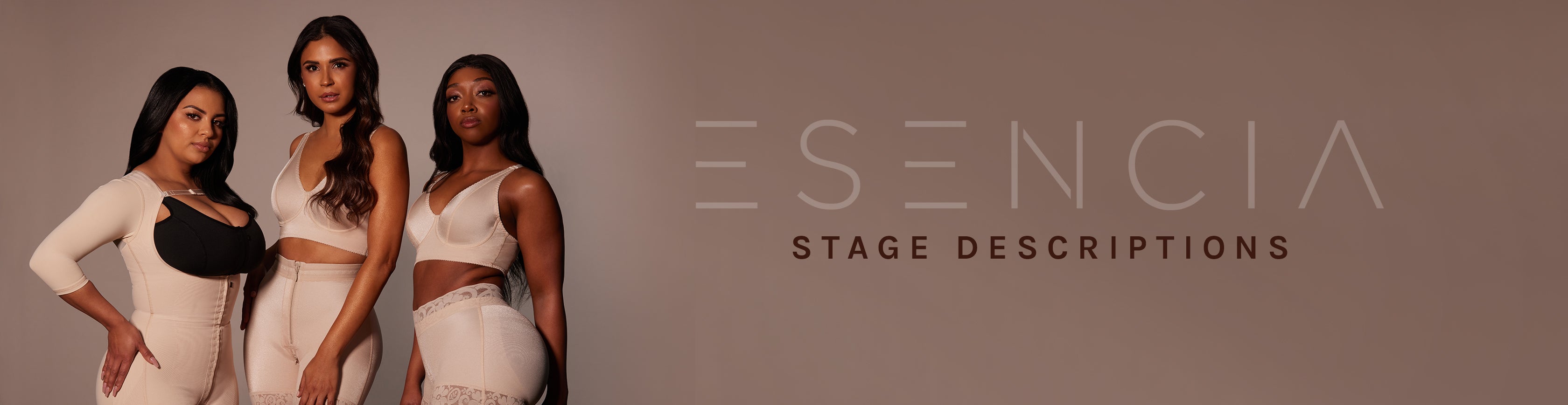 Stage Descriptions
